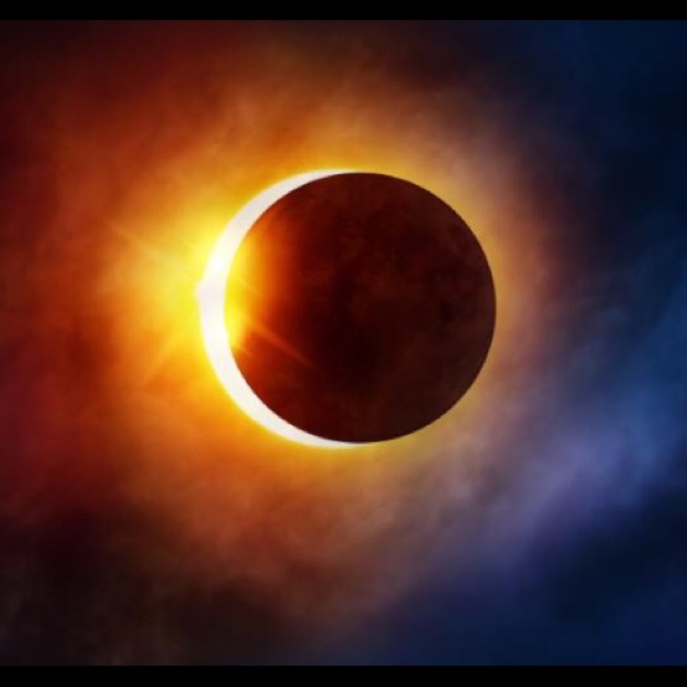 Meet your Posher, Ali